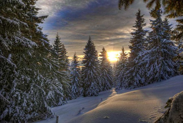 winter fairy tale on rogla by medianita.si