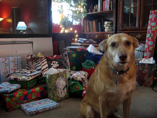 Una with Christmas Gifts (Click to enlarge)