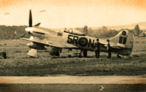 Warbird picture - Hawker Tempest - World War II