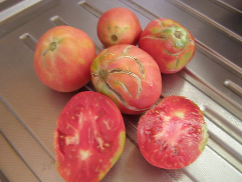 heirloom tomato hania chania