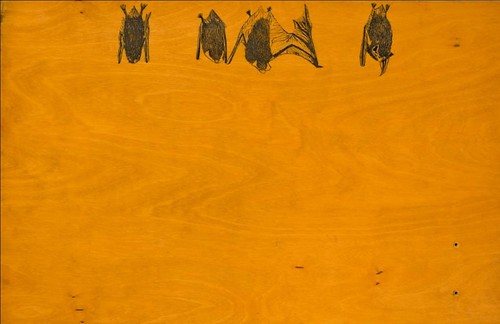 "Board Bats" by Heather Johnson
