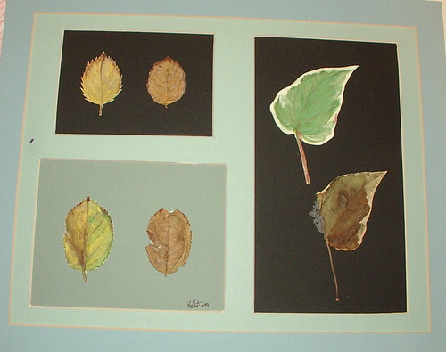 colro study of leaves ( one is real and one is painted)