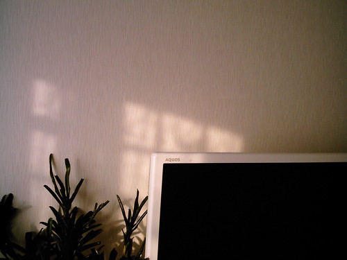 Light and Shadow4 (izone 550)