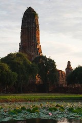 Phra Ram Lotus Pond