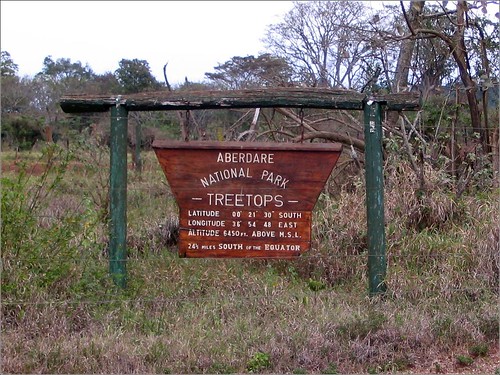 你拍攝的 50 Treetops - Aberdare National Park。
