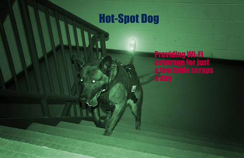 HotSpot Dog