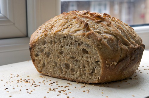 Seeded Whole Wheat No Knead Bread