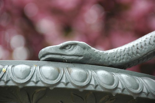 Detail, Calvert Vaux Snake Urn