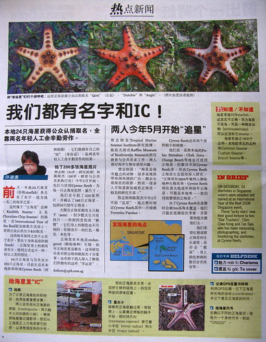 20080811 - My Paper article on Star Trackers (2)
