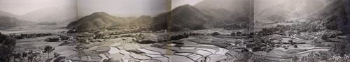六十年代初的大埔鳳園