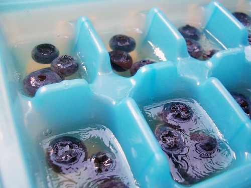 blueberry martini jello shot cubes