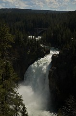 Yellowstone Canyon - Lower Falls