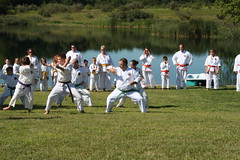 Karate Picnic