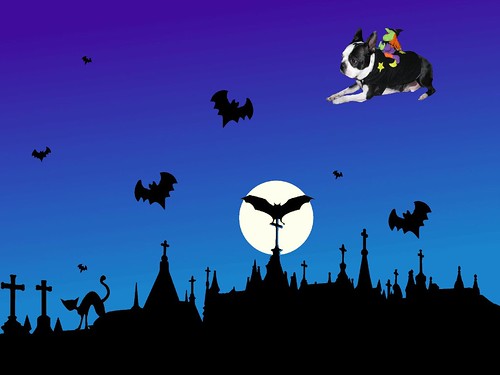 halloween-graveyard Tanner flying