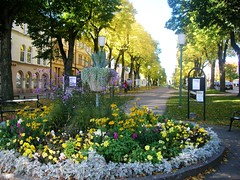 NordicFall Beauty in Mariestad, Sweden #4