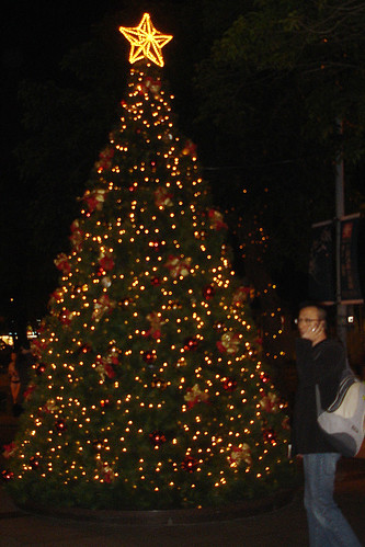 你拍攝的 誠品敦南門口的耶誕樹。