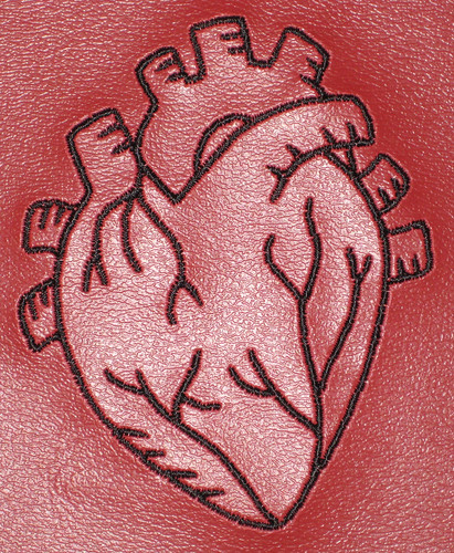 heart bib detail