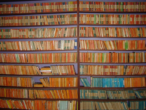 bookshelves by apenguinaweek