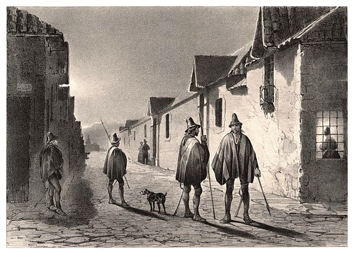 006-Serenos nocturnos en Santiago de Chile-Journal de la navigation autour du globe… 1837-Barón de Bouganville-fuente BOTANICUS