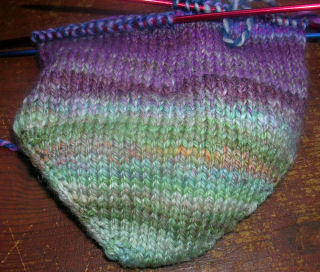 purple and green sock 2