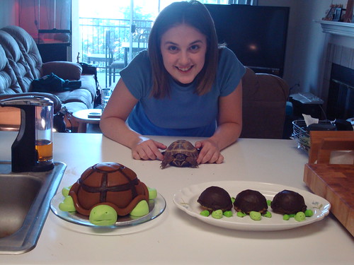 One year I even received a turtle birthday cake: How cute are those?