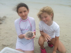 Darby and Lauren with Sea Urchin