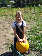 Cornflower and her pumpkin