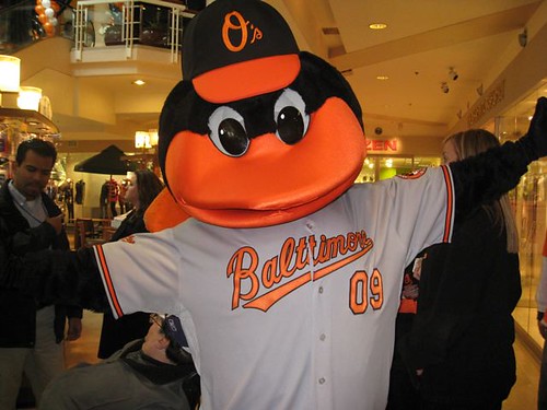 The Orioles bird sporting Baltimore