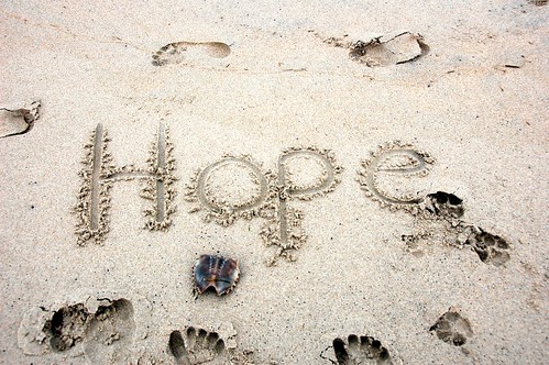 hope always wins over doubt
