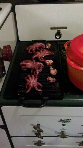 The baby octopi are grilling