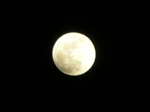 Moon before eclipse22008