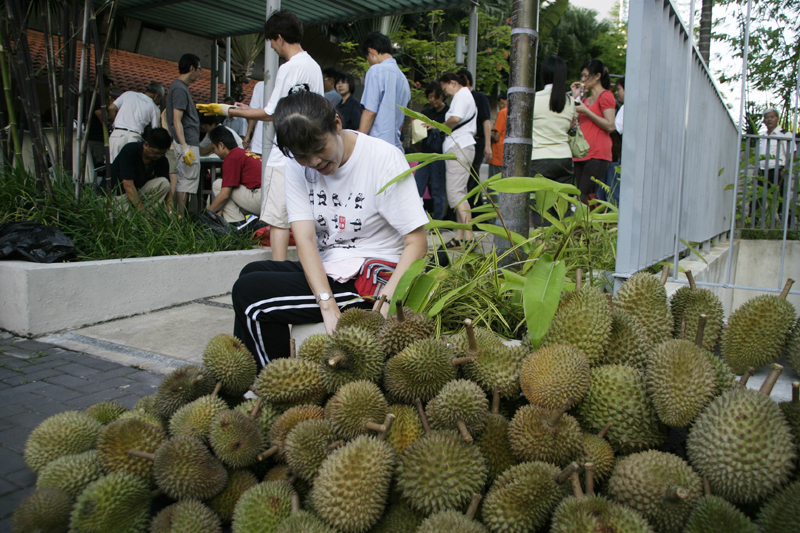 Durian Party