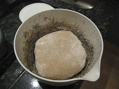 No Knead Bread in Seeded Bowl