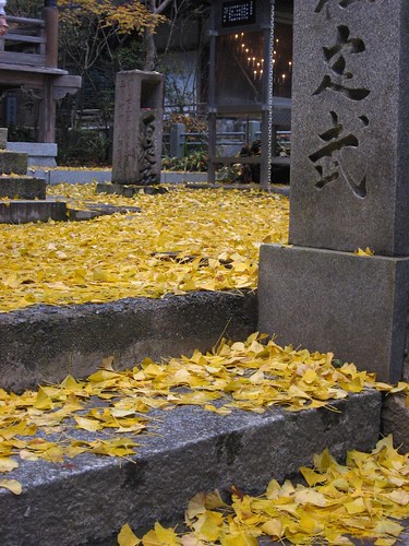 Autumn in the temple-12