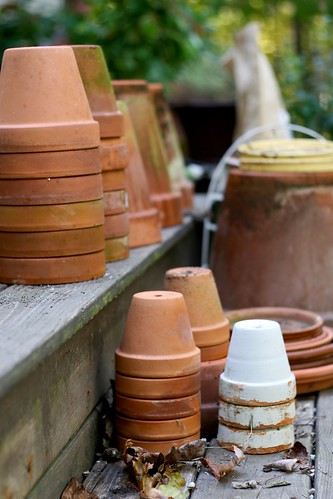 Terra-cotta pots by Chiot's Run.