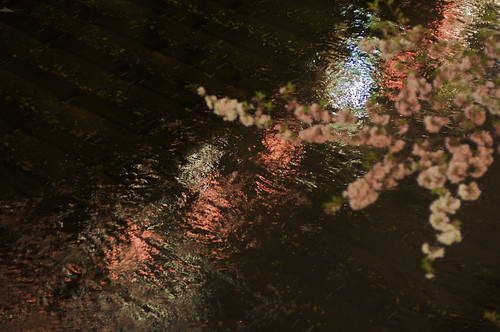 Sakura nocturno de Naka Meguro