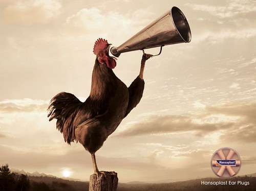 Funny commercial ad showing a rooster