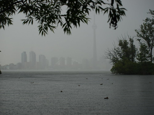 Toronto in the Mist