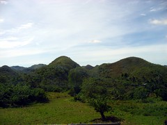 Choco Hills