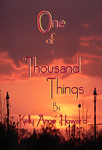 one of a thousand things book cover