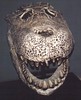 purussaurus skull
