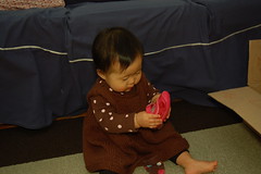 Aki trying to eat her shoe