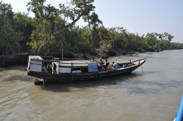 Sundarban fishermen