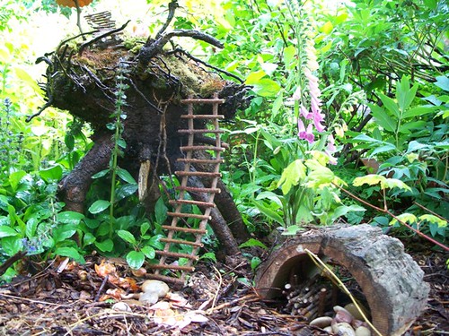 fairy ladder and woodshed