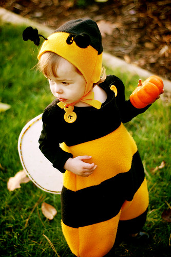 {P} the bee!