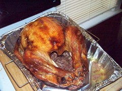 My first turkey