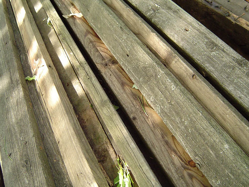 Deck, old boards