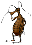 cockroach.gif