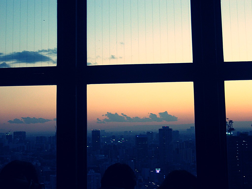 View of Sunset from Tokyo Tower