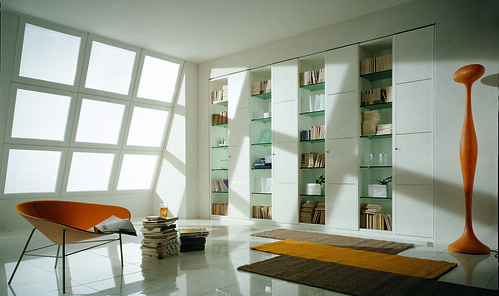 Mazzali: &quot;M40&quot; wardrobe and bookcase / l'armadio &quot;M40&quot; . Living area